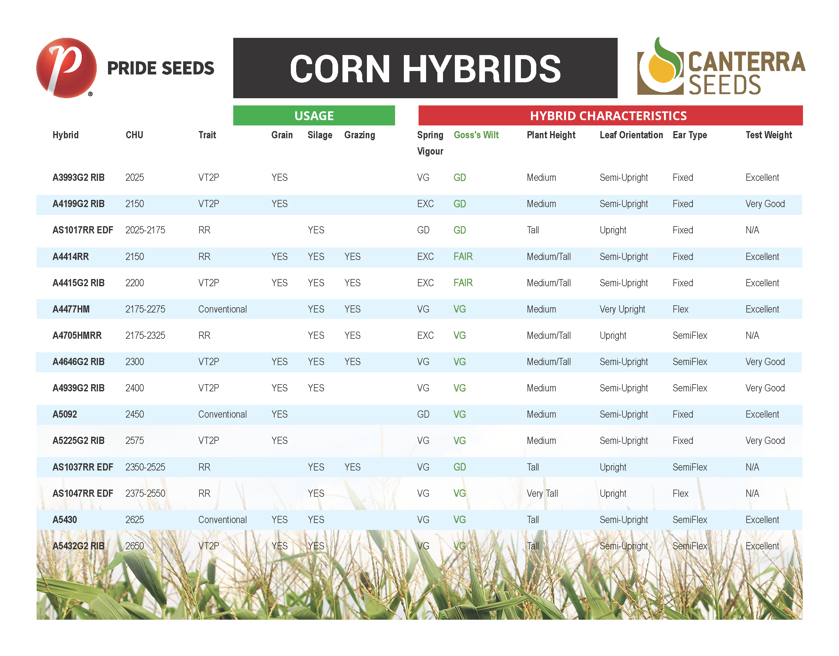Canterra Corn Characteristics